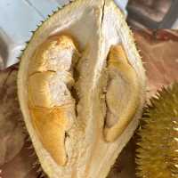 **Durian Orchard in Melaka: A Fruity Delight**