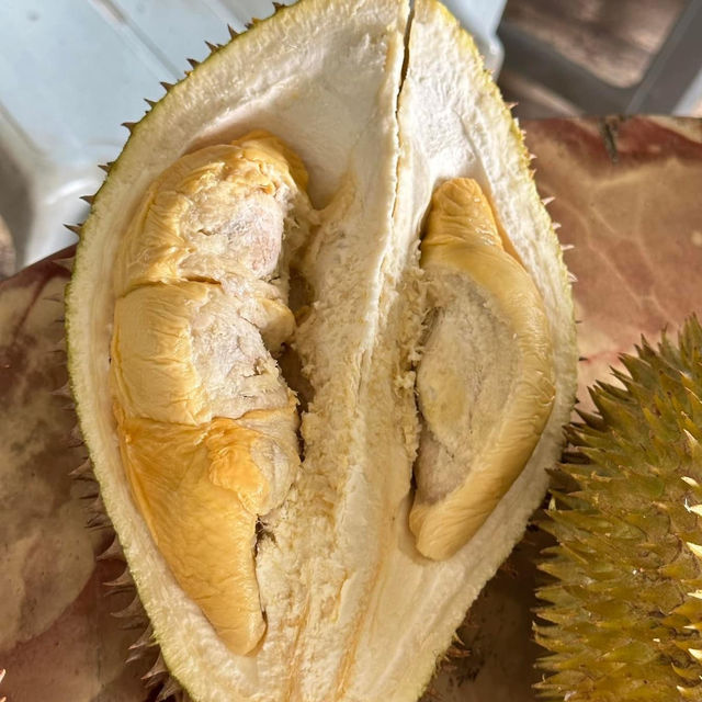**Durian Orchard in Melaka: A Fruity Delight**