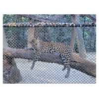 曼谷Safari World野生動物園：近距離觀察動物、海洋表演