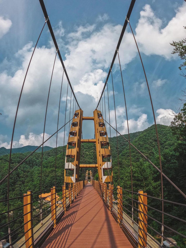 좌구산 명상구름다리