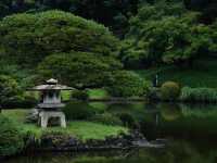 【東京代代木公園】秋天景色美不勝收，享受大自然能量！🔥🏖️