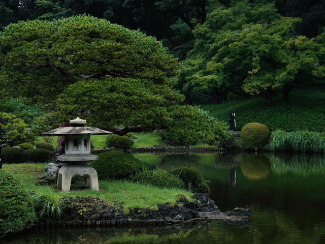 【東京代代木公園】秋天景色美不勝收，享受大自然能量！🔥🏖️