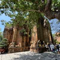 ปราสาทหิน Ponagar Temple Tháp Bà Ponagar
