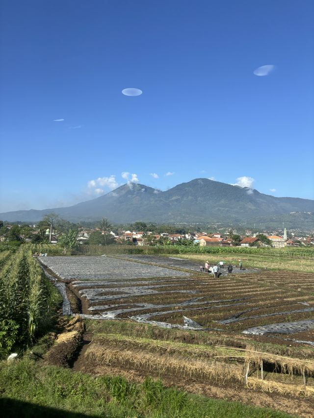 นั่งรถไฟข้ามเมืองที่ประเทศอินโดนีเซีย 🇮🇩