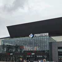 【北海道】新しいスタジアムでの野球観戦へ！