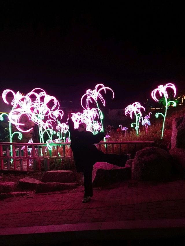 포천🤍 야경 좋은 포천 허브아일랜드🌿🌃