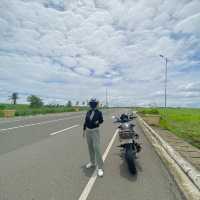 Cebu’s Scenic Highway: Aisle of Medellin
