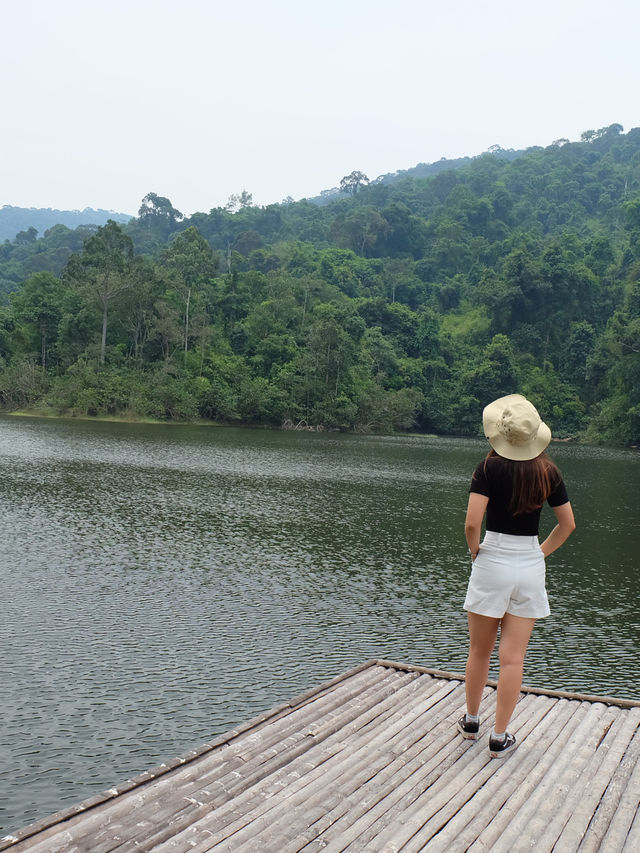 เที่ยวอ่างเก็บน้ำห้วยตาโบ หน้าฝน ป่าสวยมาก 🌲