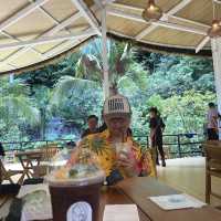 Baan Chang Cafe’ at Krabi🐘☕️🌿🌴🌴