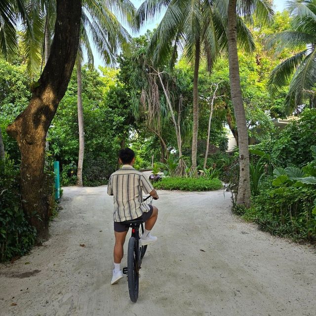 mọi thứ thật tuyệt vời
