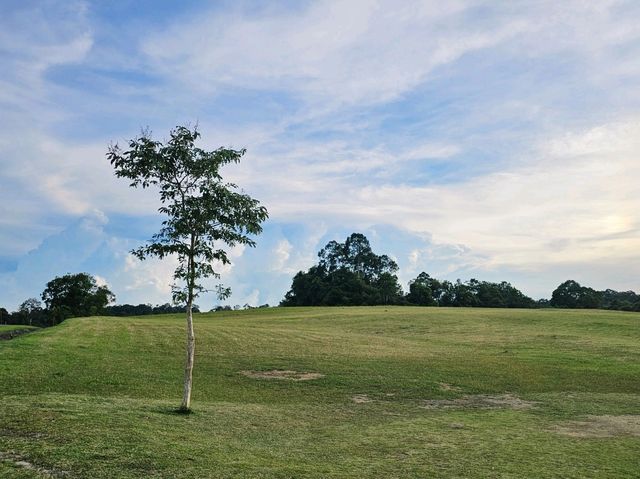 อุทยานแห่งชาติเขาใหญ่ ⛰️