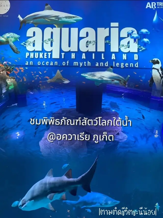 在普吉島的 Aquaria @ Phuket 探索水下世界之美