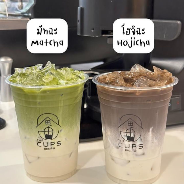 The Cups เดอะคัพ