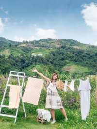 JINJU the orange farm สวนส้มเชียงใหม่ฟีลเกาหลี
