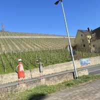 Wine tasting at a local vineyard offers an enjoyable experience!