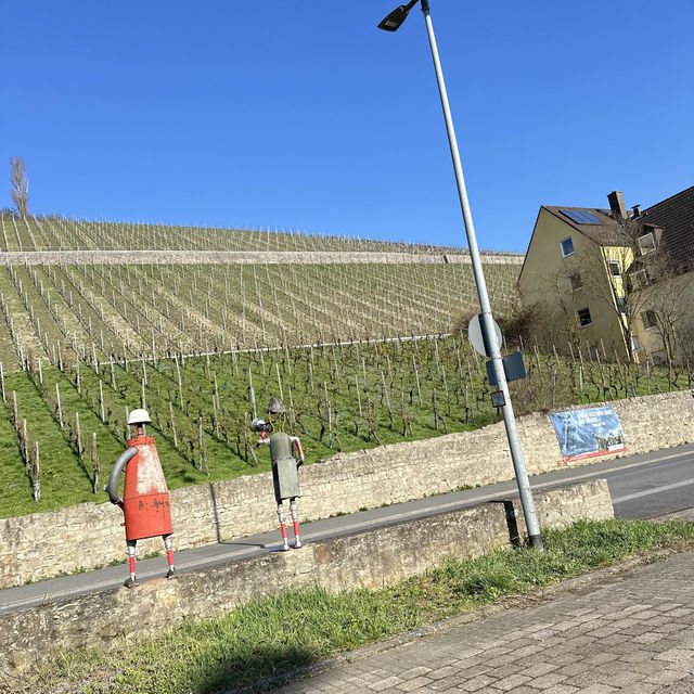 Wine tasting at a local vineyard offers an enjoyable experience!