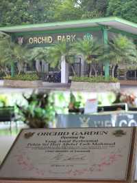 Year-Round Orchid Splendor: Discover Kuching's Orchid Park, a Blooming Paradise