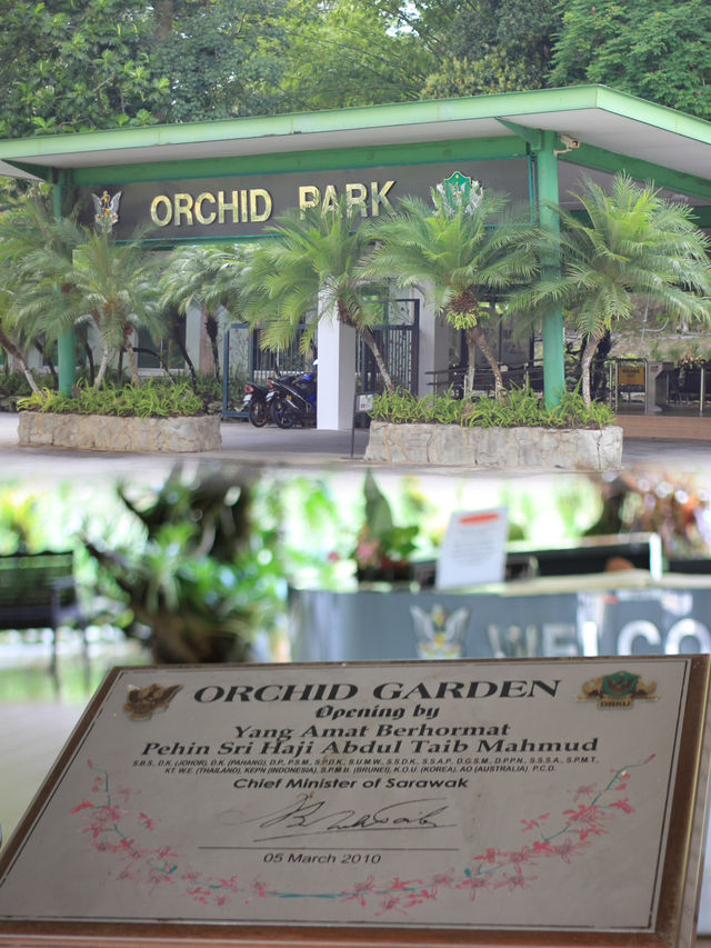 Year-Round Orchid Splendor: Discover Kuching's Orchid Park, a Blooming Paradise