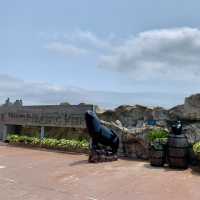 Underwater Wonders: A Sea Life Spectacle at Ocean Park!