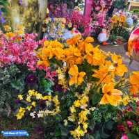 🇲🇾 Bloom with Beauty: Discover Flower Blossoms at Armenian Park