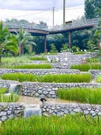 Bird Paradise Singapore Waterfalls