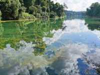 Discover MacRitchie Reservoir: Singapore’s Secret Nature Gem