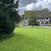 Museum Gardens