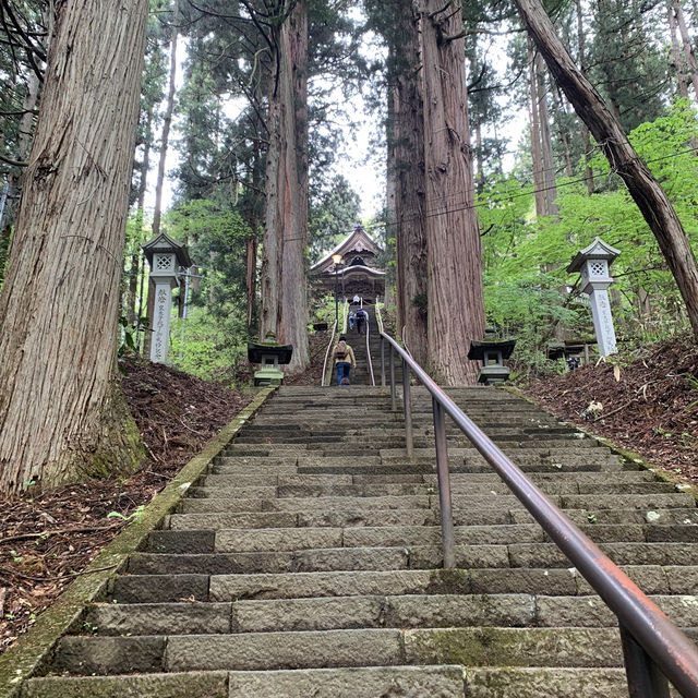 戸隠神社　杉並木参道
