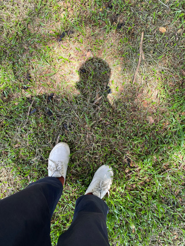 โบสถ์นักบุญอันนา | จ.นครพนม ⛪️🌳🌿🔔