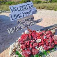 Blushing Shores: Falling in Love with Komodo's Pink Beach