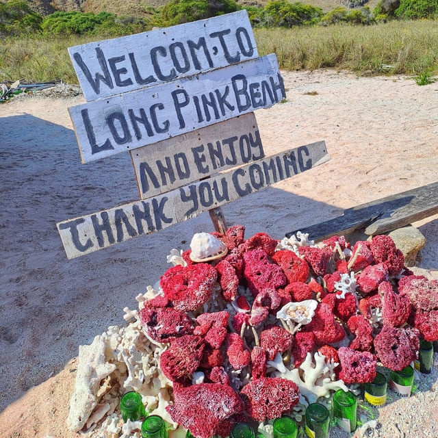 Blushing Shores: Falling in Love with Komodo's Pink Beach