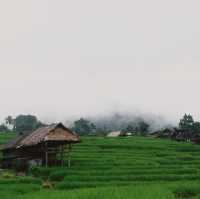 บ้านพักลอแอะ ป่าบงเปียง - เชียงใหม่