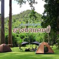 จุดกางเต้นท์ ยางนาแคมป์ อุทัยธานี