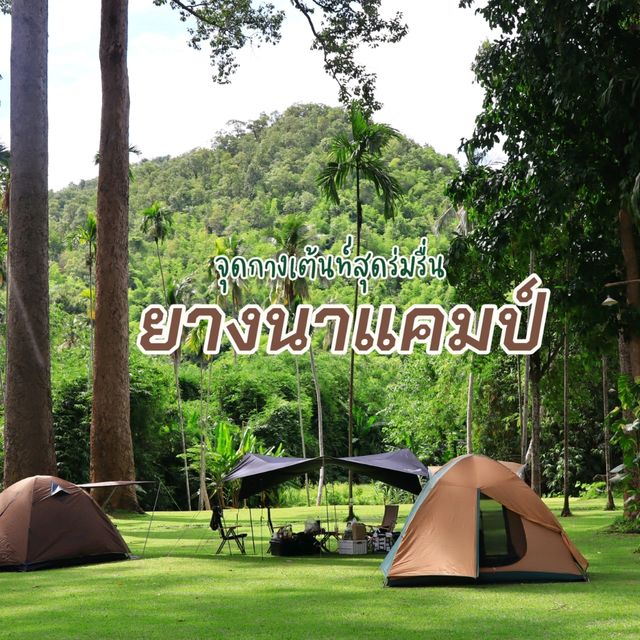 จุดกางเต้นท์ ยางนาแคมป์ อุทัยธานี