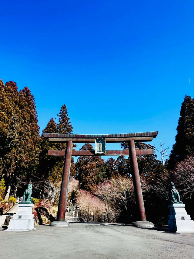 【一生に一度は行きたい】黄金に輝く鳥居と天空神社✨✨✨険しく狭い山道の攻略法も掲載