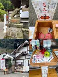 温泉好きに行ってほしい♨️福島にある温泉神社⛩️