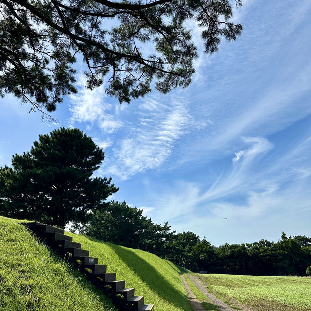 입장료/주차 무료! 나홀로나무를 볼 수 있는 곳💚