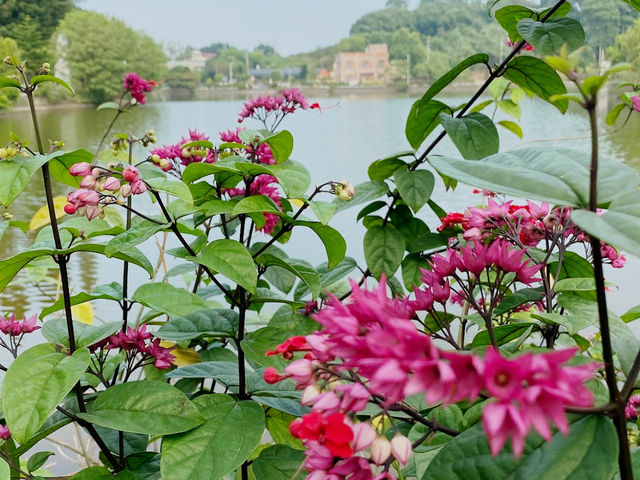 Jianhu Lake