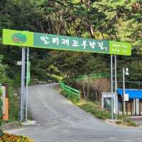 💫시원한 바람을 맞으며 자연을 느낄 수 있는 말티재전망대💫