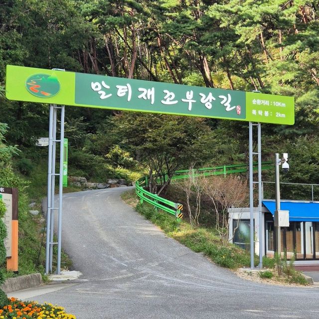 💫시원한 바람을 맞으며 자연을 느낄 수 있는 말티재전망대💫