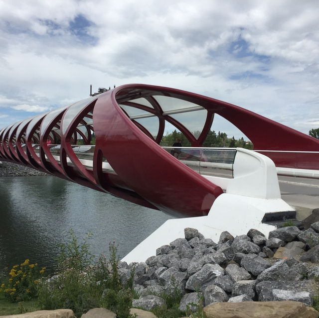 🌉🕊️ "探訪和平橋：連接心靈的美麗之橋" 🌉🕊️