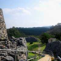 【今帰仁城跡:沖縄県今帰仁村】沖縄の古代城跡が残る場所✨