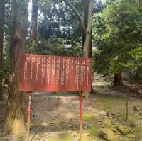 越後一宮　彌彦神社