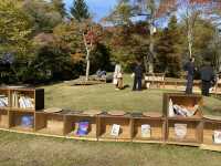 輕井澤紅葉圖書館📚