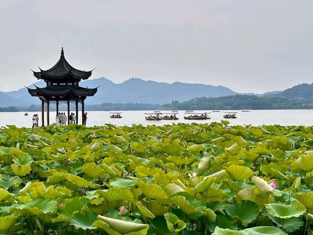 Enchanting Hangzhou, China 🇨🇳