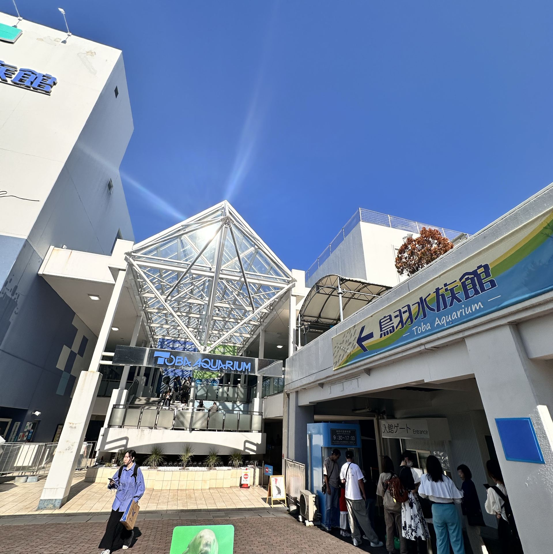 [Mie Prefecture] Enjoy a day at Toba Aquarium!