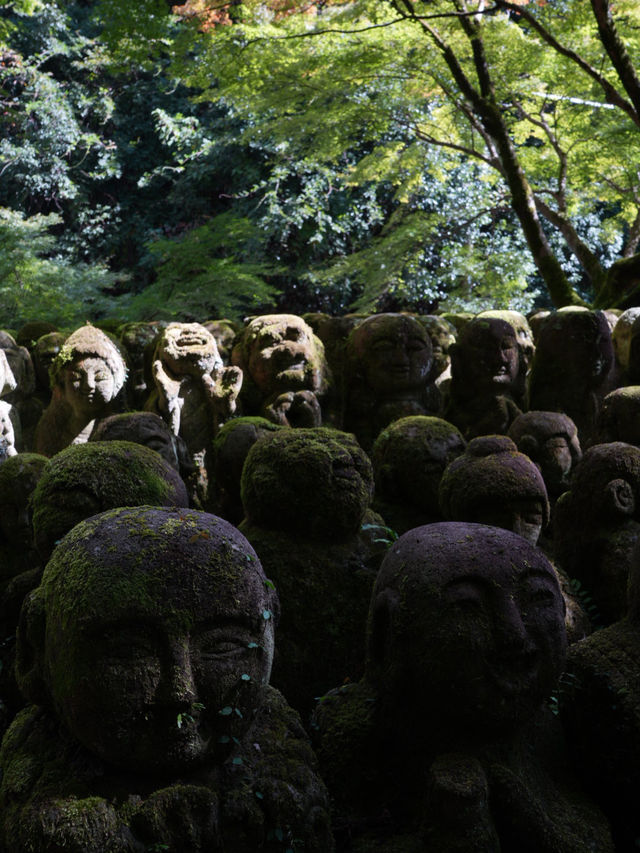 【京都観光】かわいい羅漢像がいっぱい！「愛宕念仏寺」⛩️🗿