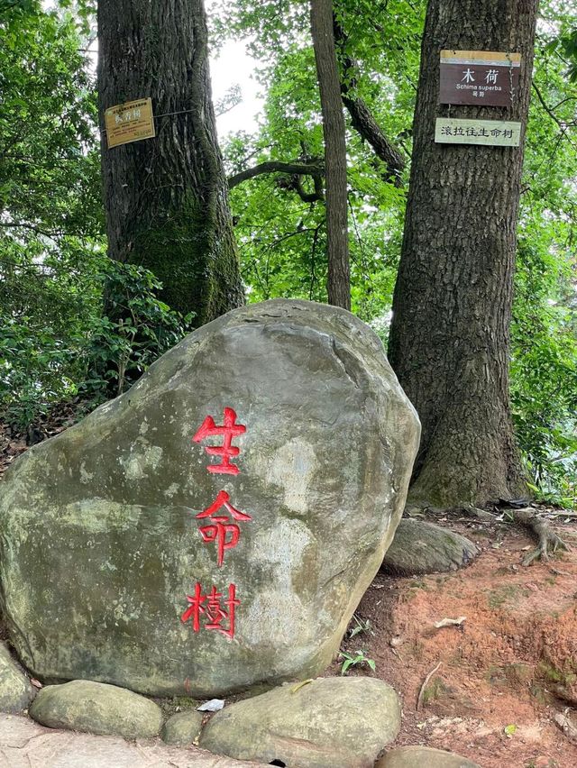 全國單身者十大旅遊勝地之一：岜沙苗寨