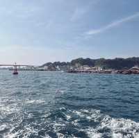 東京郊區：三浦半島吞拿魚美食一日遊之旅