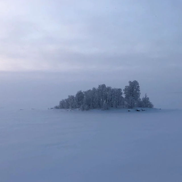 極光號流冰破冰船體驗：冰雪世界的奇幻冒險 🚢❄️